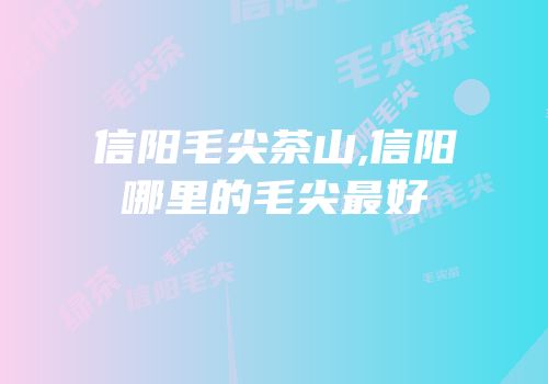 信阳毛尖茶山,信阳哪里的毛尖最好