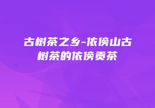 古树茶之乡-依傍山古树茶的依傍贡茶
