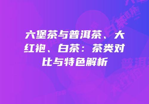 六堡茶与普洱茶、大红袍、白茶：茶类对比与特色解析