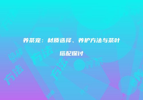 养茶宠：材质选择、养护方法与茶叶搭配探讨