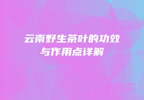 云南野生茶叶的功效与作用点详解