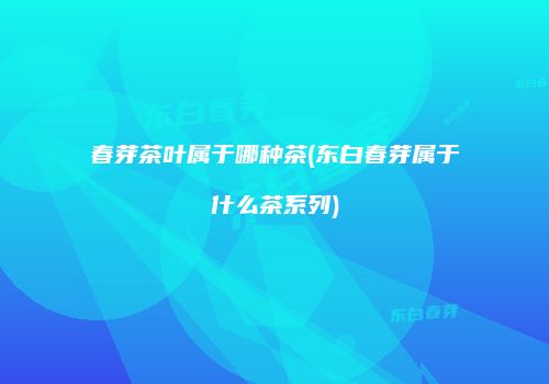 春芽茶叶属于哪种茶(东白春芽属于什么茶系列)