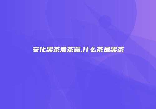 安化黑茶煮茶器,什么茶是黑茶