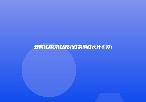 云南红茶滇红级别(红茶滇红长什么样)
