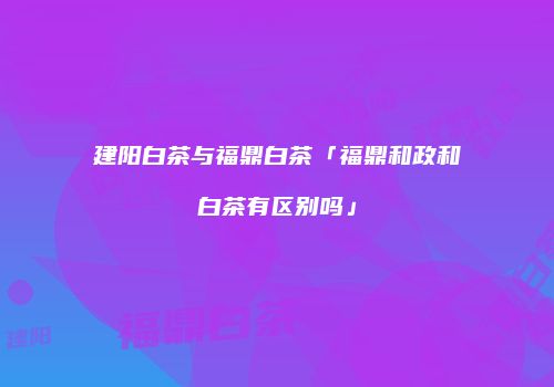 建阳白茶与福鼎白茶「福鼎和政和白茶有区别吗」