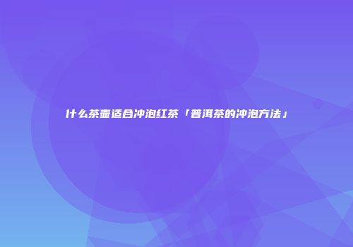什么茶壶适合冲泡红茶「普洱茶的冲泡方法」