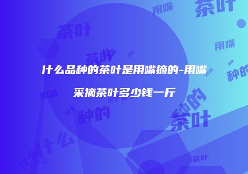 什么品种的茶叶是用嘴摘的-用嘴采摘茶叶多少钱一斤