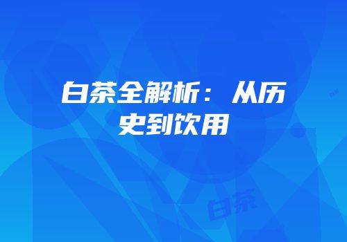 白茶全解析：从历史到饮用