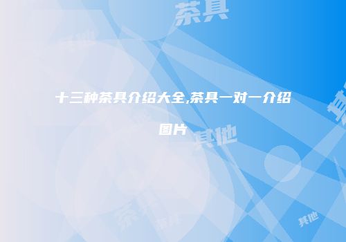 十三种茶具介绍大全,茶具一对一介绍图片