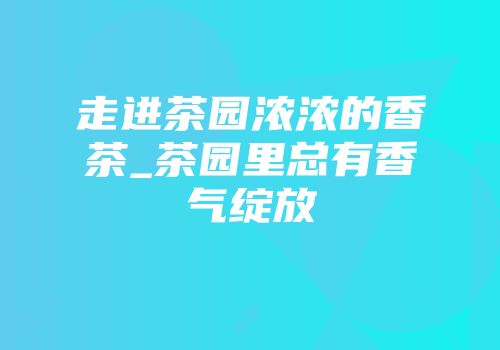 走进茶园浓浓的香茶_茶园里总有香气绽放