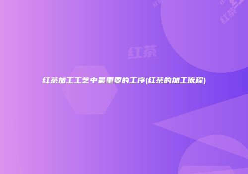 红茶加工工艺中最重要的工序(红茶的加工流程)