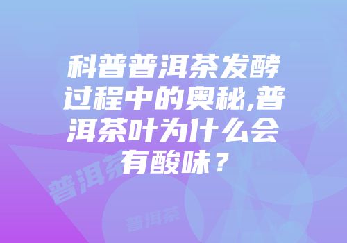 科普普洱茶发酵过程中的奥秘,普洱茶叶为什么会有酸味？