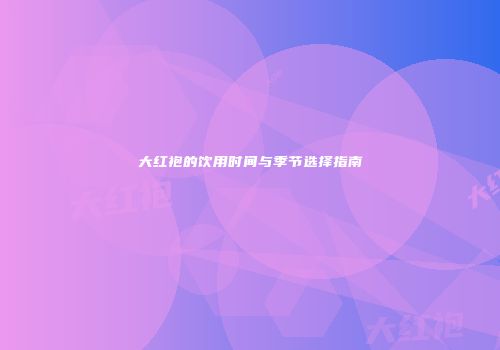 大红袍的饮用时间与季节选择指南