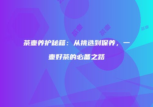 茶壶养护秘籍：从挑选到保养，一壶好茶的必备之路