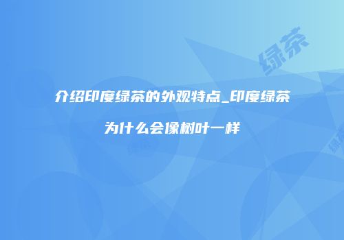 介绍印度绿茶的外观特点_印度绿茶为什么会像树叶一样