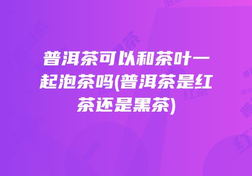 普洱茶可以和茶叶一起泡茶吗(普洱茶是红茶还是黑茶)