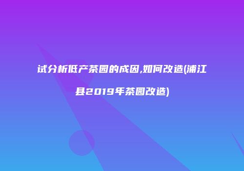 试分析低产茶园的成因,如何改造(浦江县2019年茶园改造)