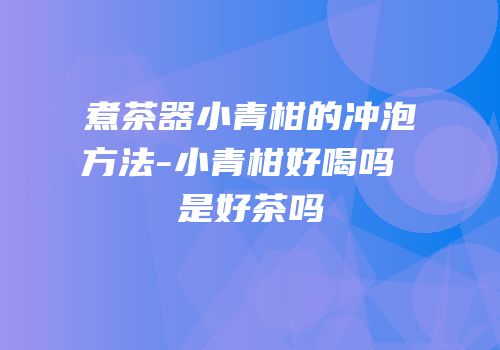 煮茶器小青柑的冲泡方法-小青柑好喝吗 是好茶吗