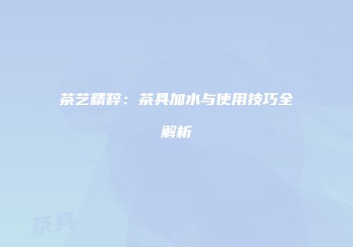 茶艺精粹：茶具加水与使用技巧全解析
