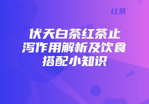 伏天白茶红茶止泻作用解析及饮食搭配小知识