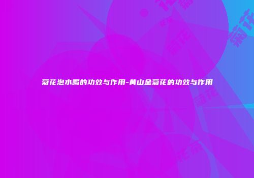 菊花泡水喝的功效与作用-黄山金菊花的功效与作用
