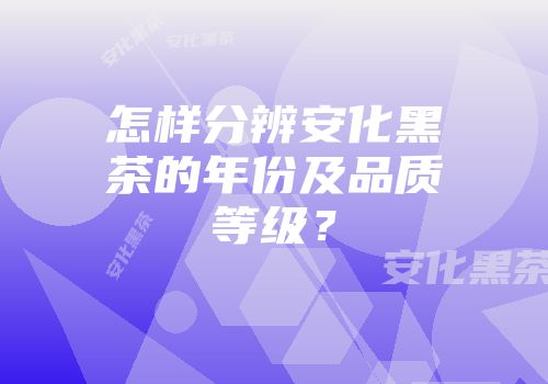 怎样分辨安化黑茶的年份及品质等级？