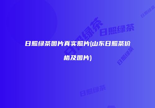 日照绿茶图片真实照片(山东日照茶价格及图片)