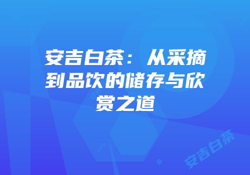 安吉白茶：从采摘到品饮的储存与欣赏之道