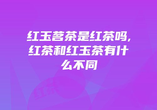 红玉茗茶是红茶吗,红茶和红玉茶有什么不同