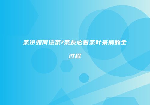 茶饼如何撬茶?茶友必看茶叶采摘的全过程