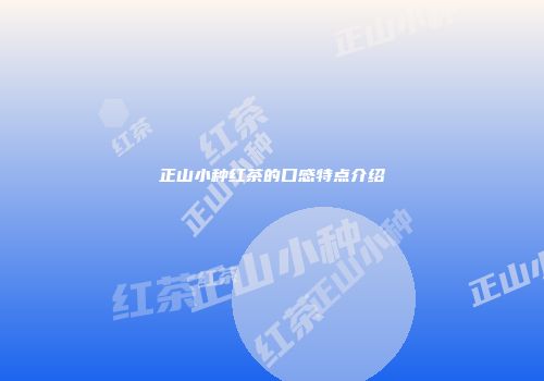 正山小种红茶的口感特点介绍