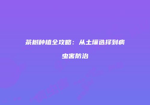 茶树种植全攻略：从土壤选择到病虫害防治