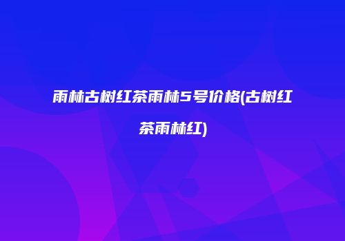 雨林古树红茶雨林5号价格(古树红茶雨林红)