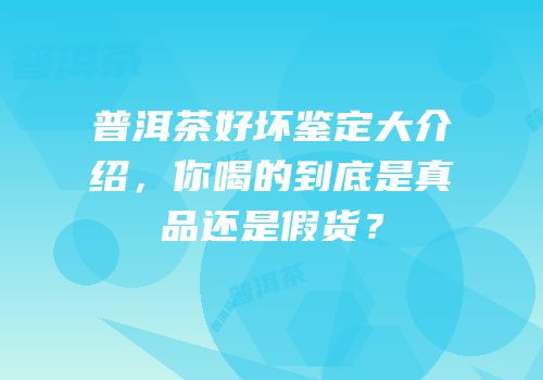 普洱茶好坏鉴定大介绍，你喝的到底是真品还是假货？