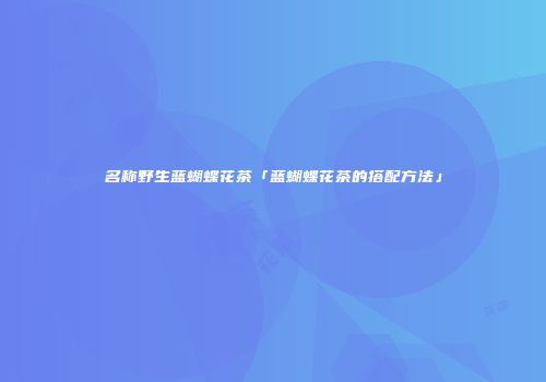 名称野生蓝蝴蝶花茶「蓝蝴蝶花茶的搭配方法」