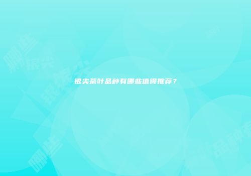 银尖茶叶品种有哪些值得推荐？