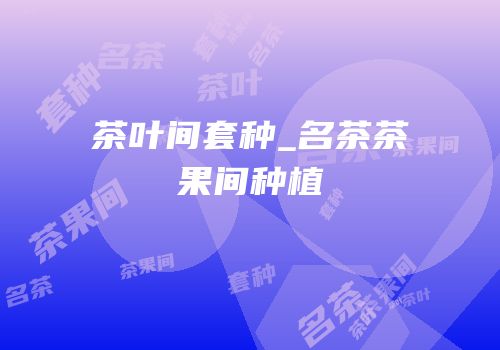 茶叶间套种_名茶茶果间种植
