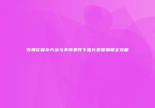 玫瑰花保存方法与不同条件下延长观赏期限全攻略