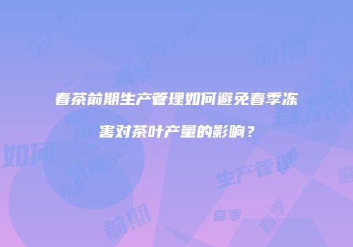 春茶前期生产管理如何避免春季冻害对茶叶产量的影响？