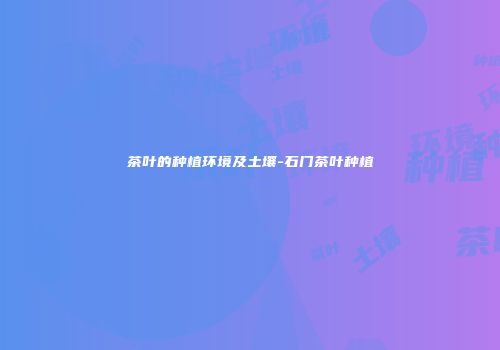 茶叶的种植环境及土壤-石门茶叶种植