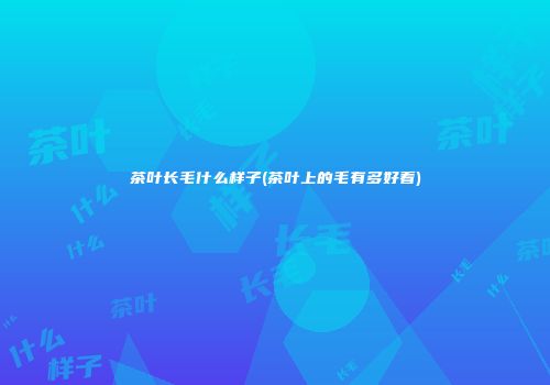 茶叶长毛什么样子(茶叶上的毛有多好看)