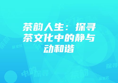 茶韵人生：探寻茶文化中的静与动和谐