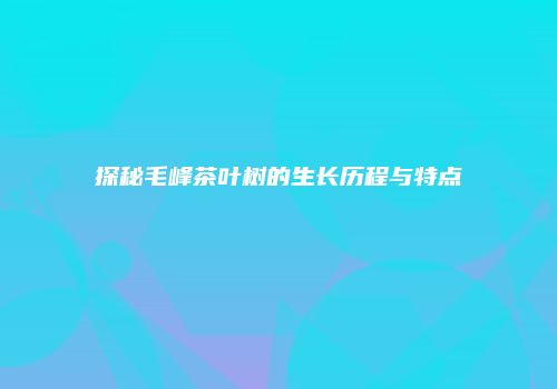 探秘毛峰茶叶树的生长历程与特点
