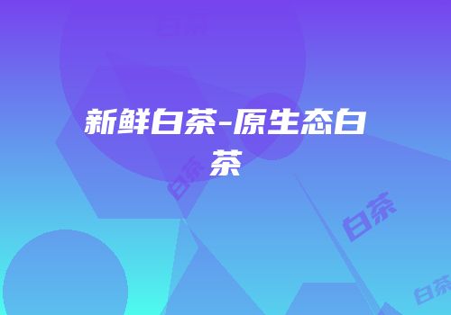 新鲜白茶-原生态白茶