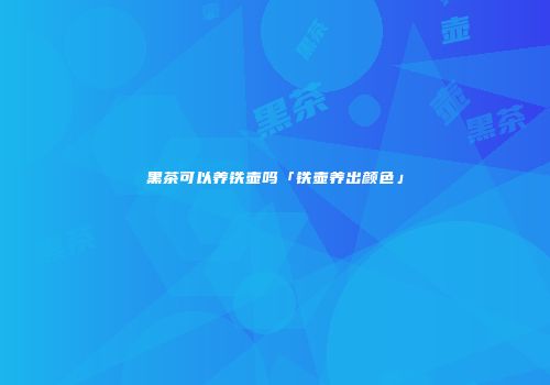 黑茶可以养铁壶吗「铁壶养出颜色」