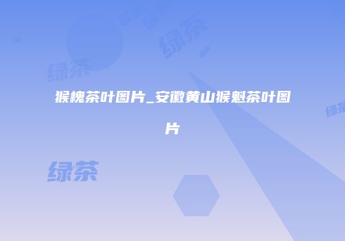 猴槐茶叶图片_安徽黄山猴魁茶叶图片