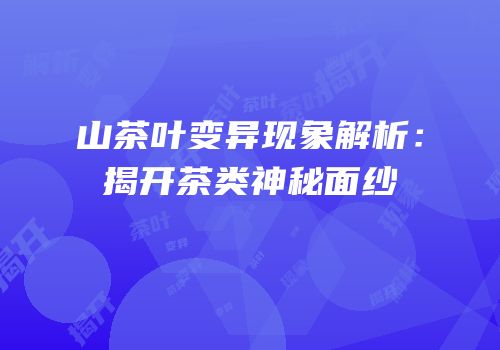 山茶叶变异现象解析：揭开茶类神秘面纱