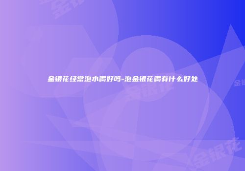 金银花经常泡水喝好吗-泡金银花喝有什么好处