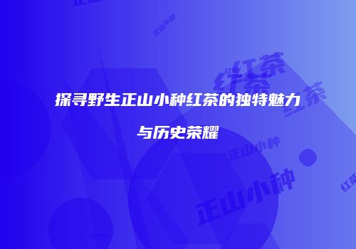探寻野生正山小种红茶的独特魅力与历史荣耀