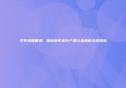 冬季茶园管理：保障来年茶叶产量与品质的关键措施